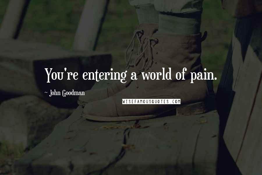 John Goodman Quotes: You're entering a world of pain.