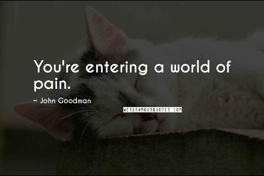 John Goodman Quotes: You're entering a world of pain.