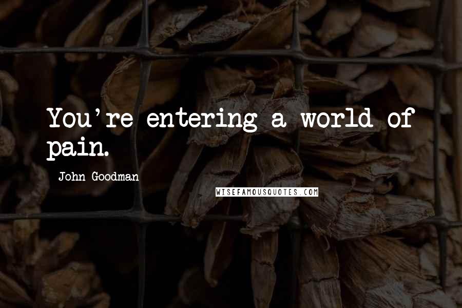 John Goodman Quotes: You're entering a world of pain.