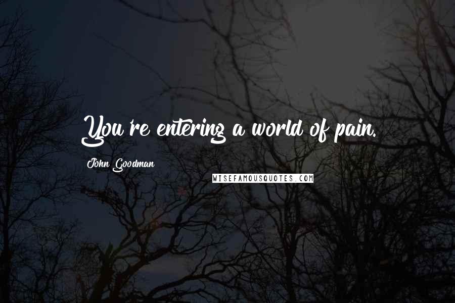 John Goodman Quotes: You're entering a world of pain.