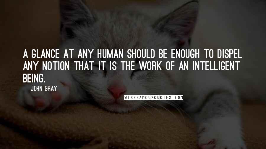 John Gray Quotes: A glance at any human should be enough to dispel any notion that it is the work of an intelligent being.