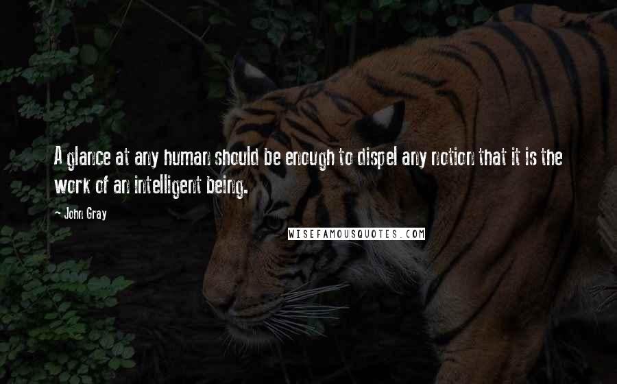 John Gray Quotes: A glance at any human should be enough to dispel any notion that it is the work of an intelligent being.