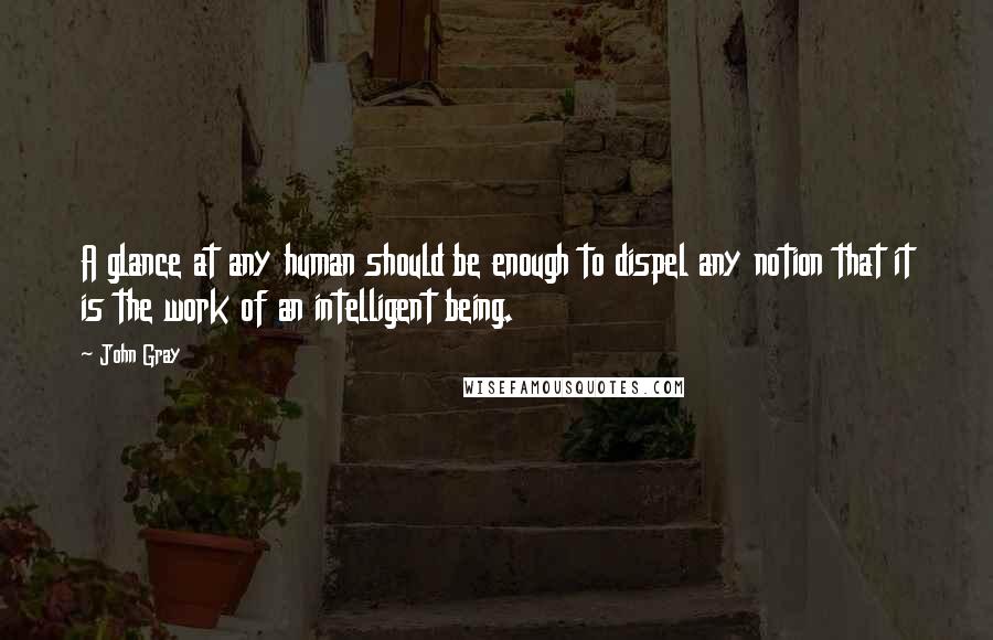John Gray Quotes: A glance at any human should be enough to dispel any notion that it is the work of an intelligent being.