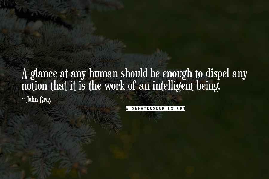 John Gray Quotes: A glance at any human should be enough to dispel any notion that it is the work of an intelligent being.