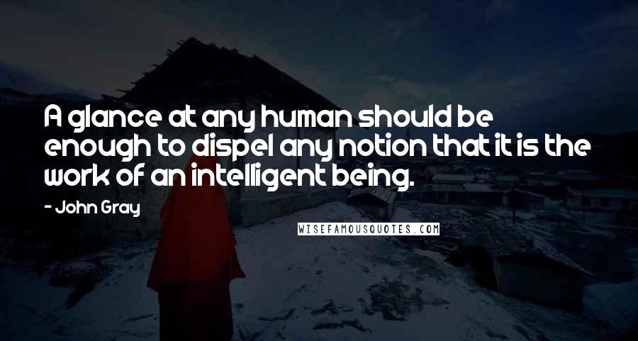 John Gray Quotes: A glance at any human should be enough to dispel any notion that it is the work of an intelligent being.