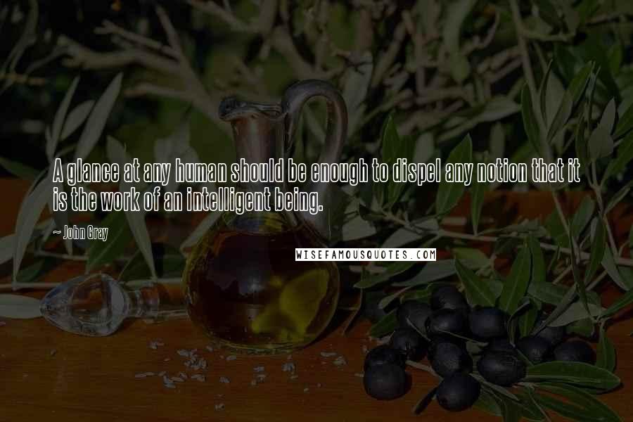 John Gray Quotes: A glance at any human should be enough to dispel any notion that it is the work of an intelligent being.