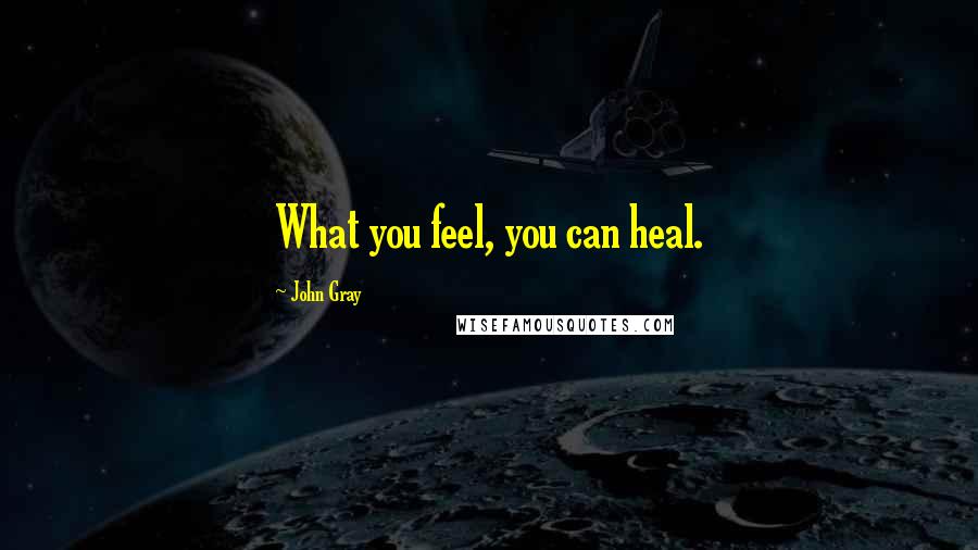 John Gray Quotes: What you feel, you can heal.