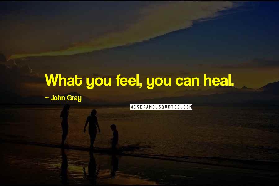 John Gray Quotes: What you feel, you can heal.