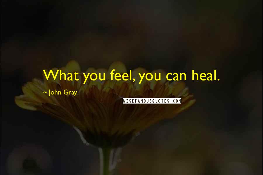 John Gray Quotes: What you feel, you can heal.