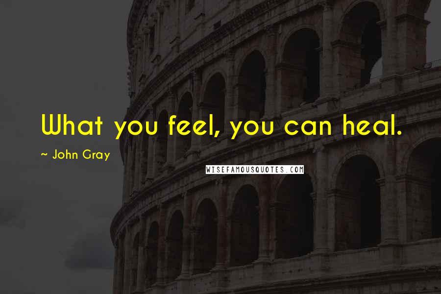 John Gray Quotes: What you feel, you can heal.