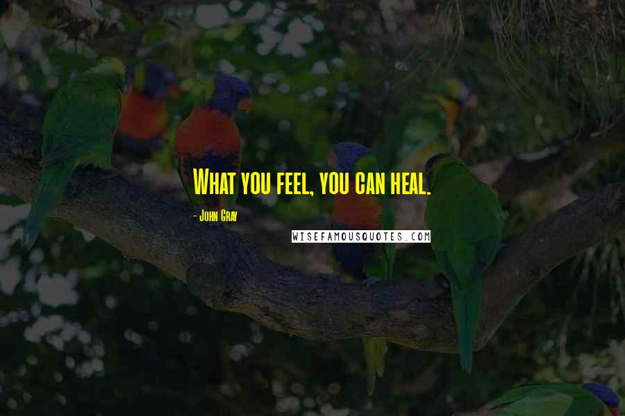 John Gray Quotes: What you feel, you can heal.