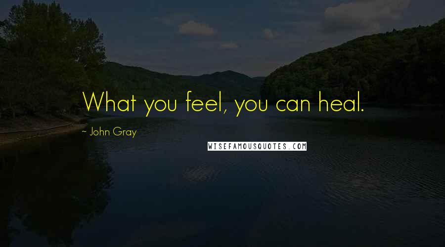 John Gray Quotes: What you feel, you can heal.