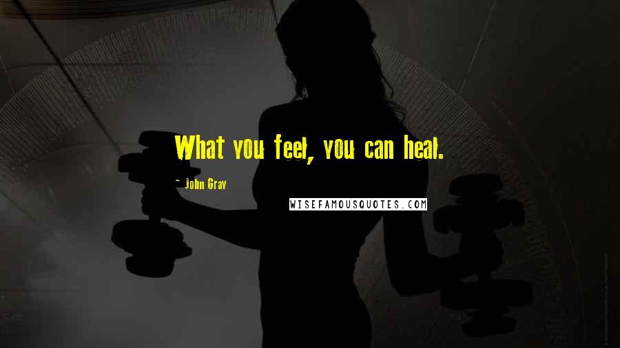 John Gray Quotes: What you feel, you can heal.