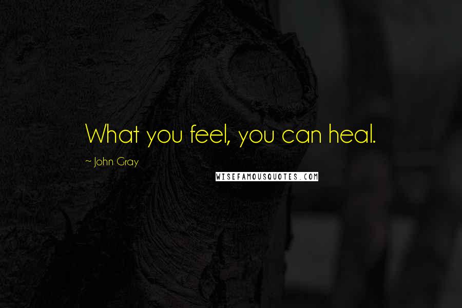 John Gray Quotes: What you feel, you can heal.