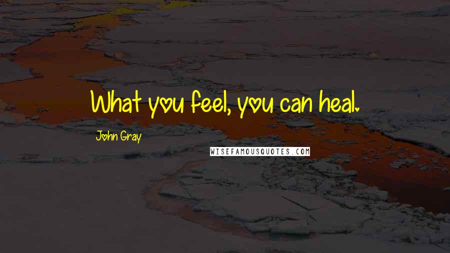 John Gray Quotes: What you feel, you can heal.