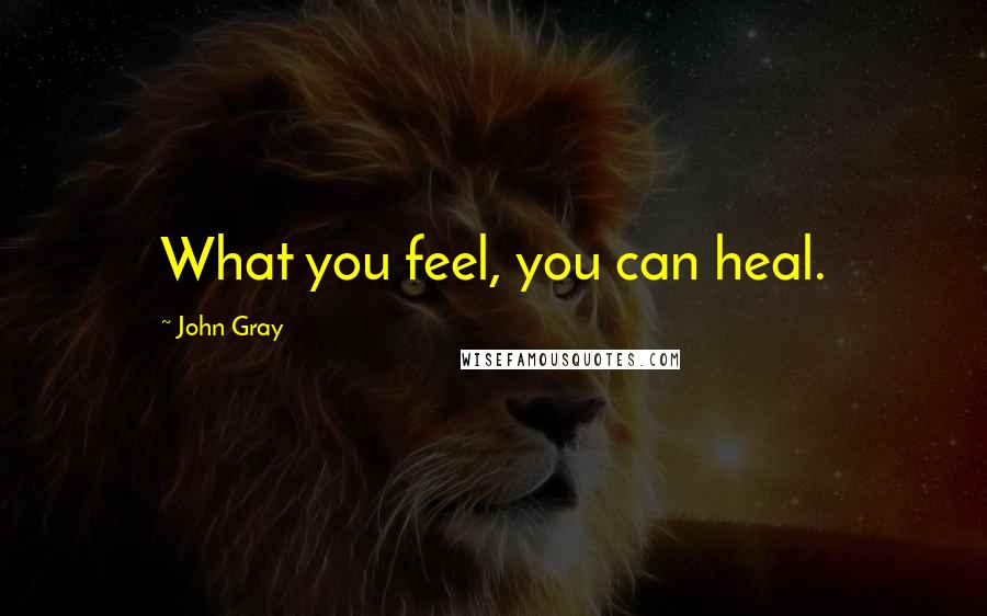 John Gray Quotes: What you feel, you can heal.