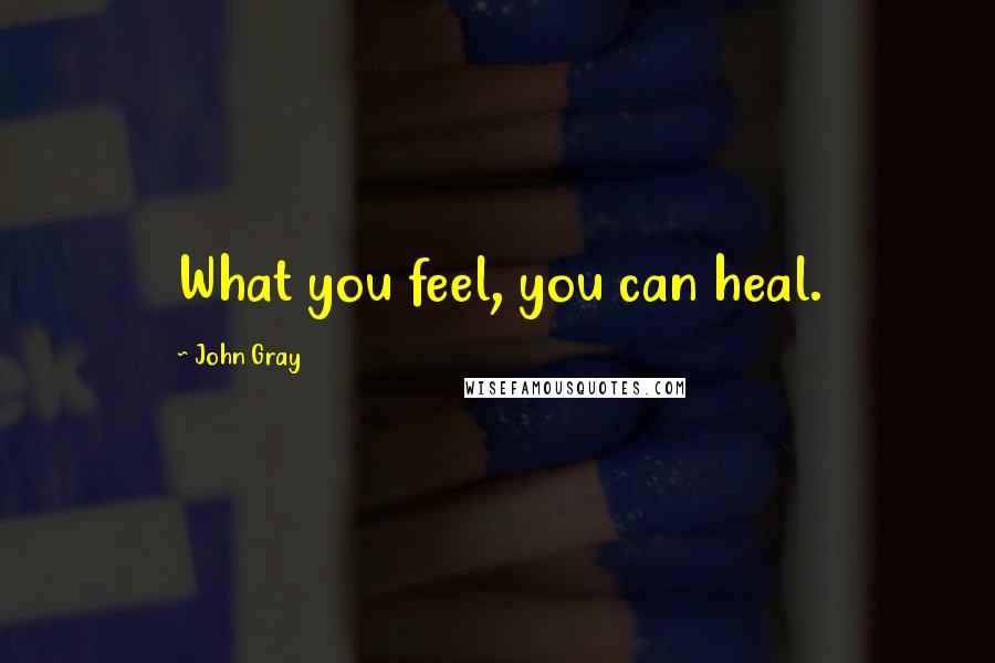 John Gray Quotes: What you feel, you can heal.