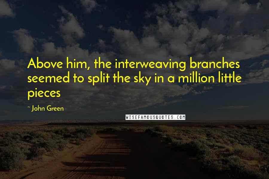 John Green Quotes: Above him, the interweaving branches seemed to split the sky in a million little pieces