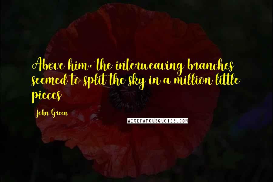 John Green Quotes: Above him, the interweaving branches seemed to split the sky in a million little pieces