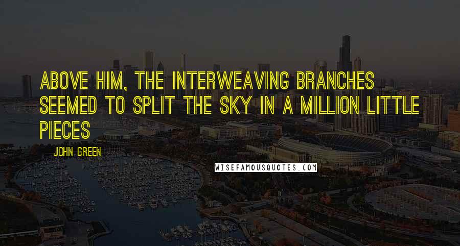 John Green Quotes: Above him, the interweaving branches seemed to split the sky in a million little pieces