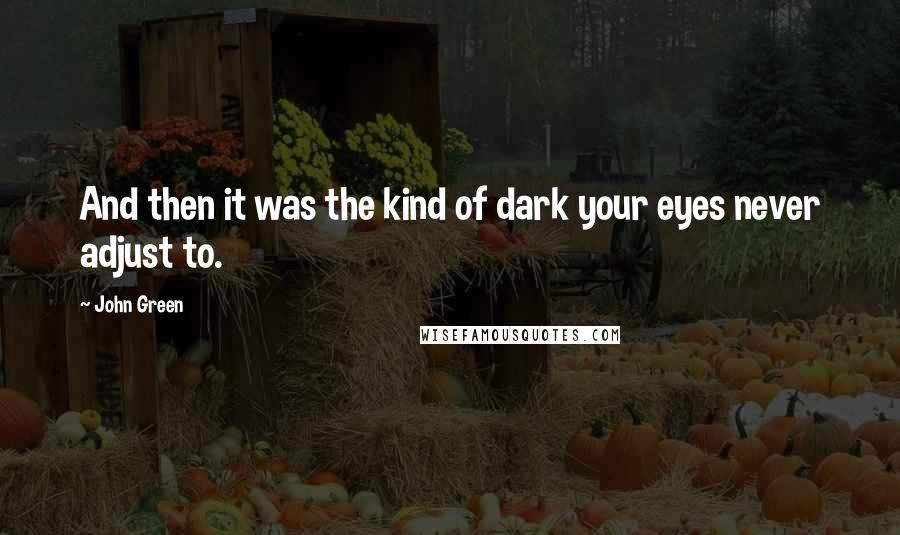 John Green Quotes: And then it was the kind of dark your eyes never adjust to.