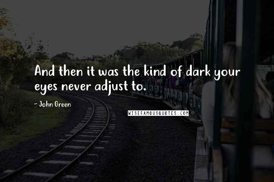 John Green Quotes: And then it was the kind of dark your eyes never adjust to.