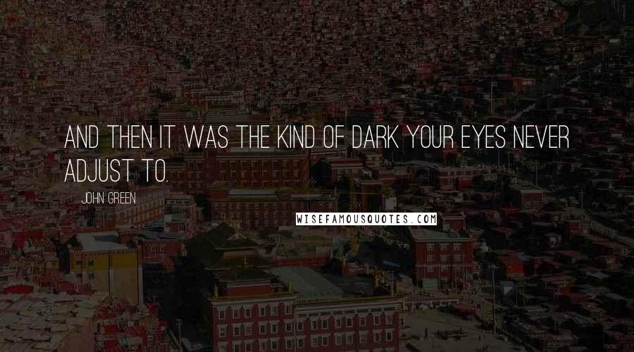 John Green Quotes: And then it was the kind of dark your eyes never adjust to.