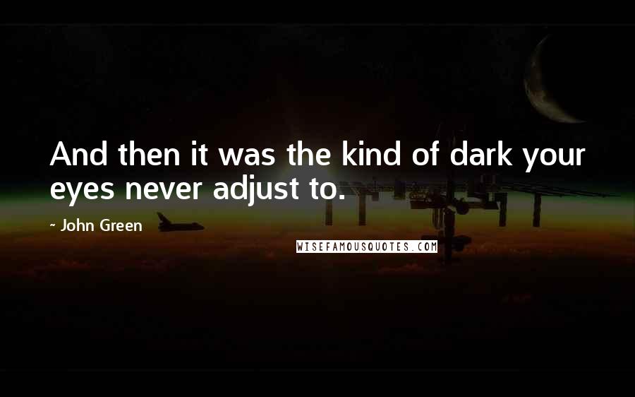 John Green Quotes: And then it was the kind of dark your eyes never adjust to.