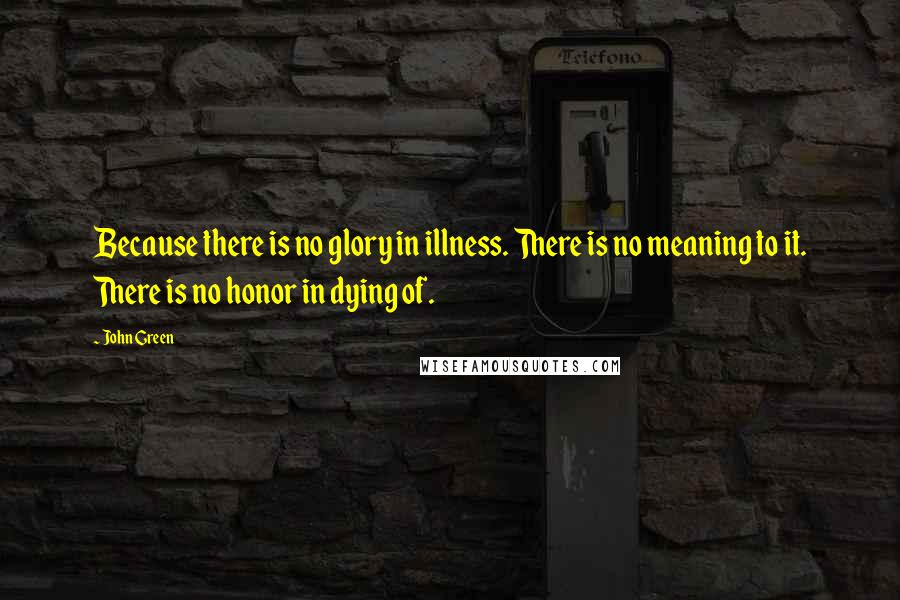 John Green Quotes: Because there is no glory in illness. There is no meaning to it. There is no honor in dying of.