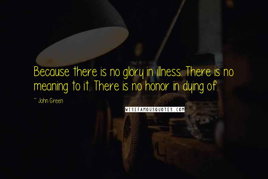 John Green Quotes: Because there is no glory in illness. There is no meaning to it. There is no honor in dying of.