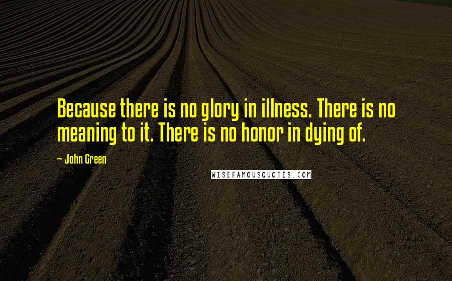 John Green Quotes: Because there is no glory in illness. There is no meaning to it. There is no honor in dying of.