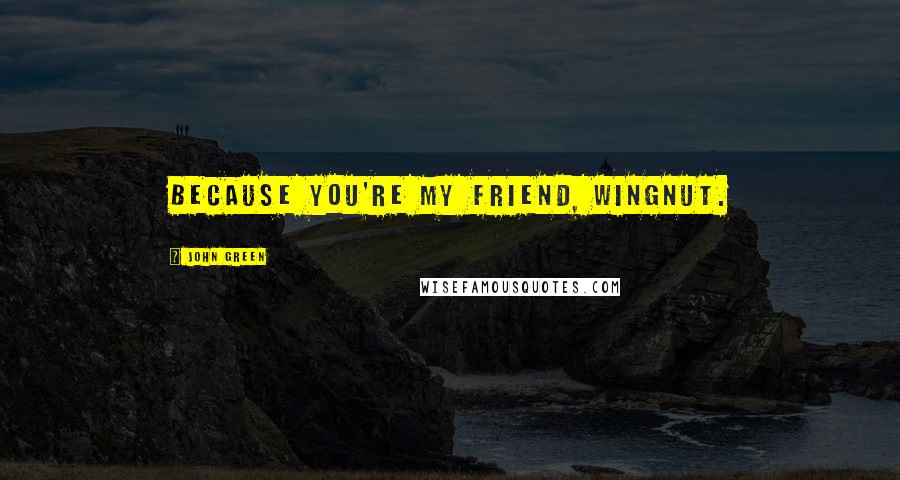 John Green Quotes: Because you're my friend, wingnut.