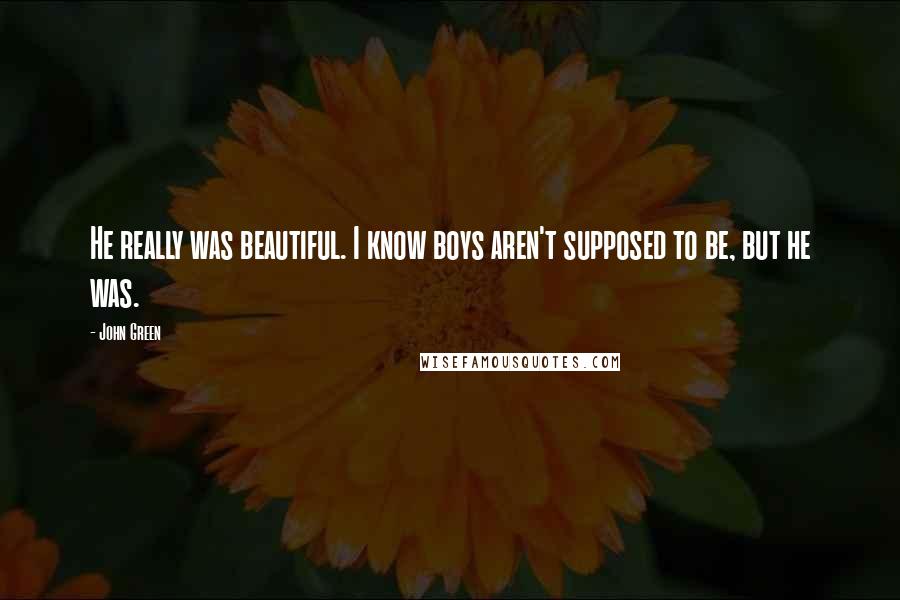 John Green Quotes: He really was beautiful. I know boys aren't supposed to be, but he was.