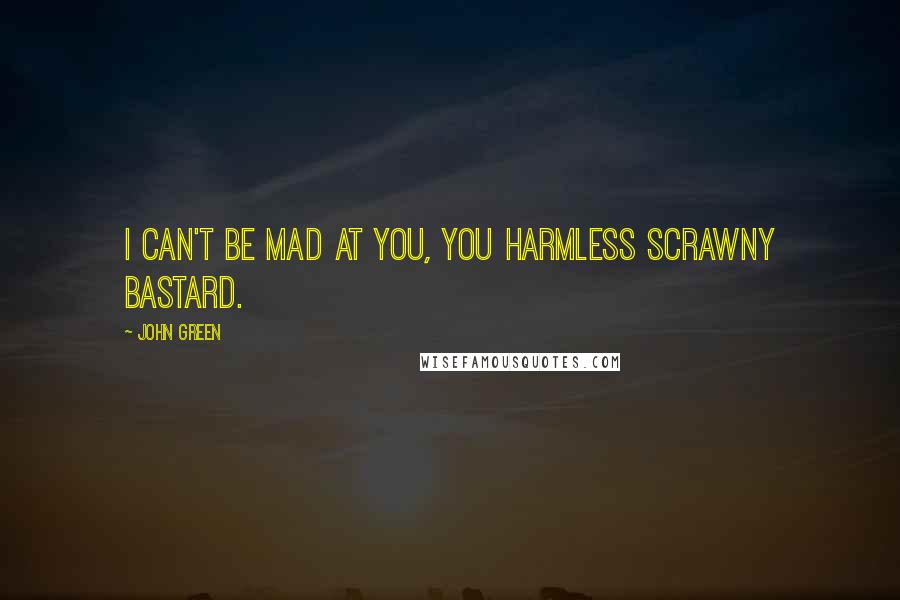 John Green Quotes: I can't be mad at you, you harmless scrawny bastard.