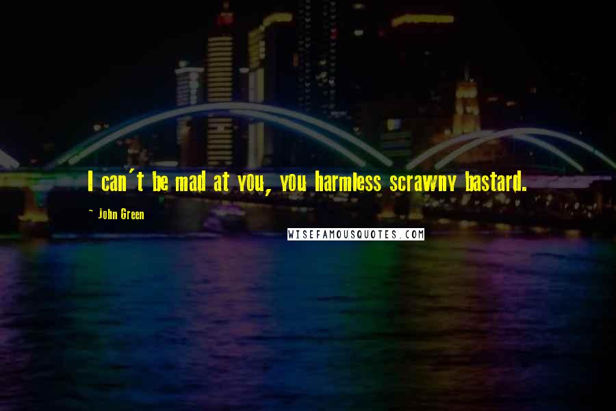 John Green Quotes: I can't be mad at you, you harmless scrawny bastard.