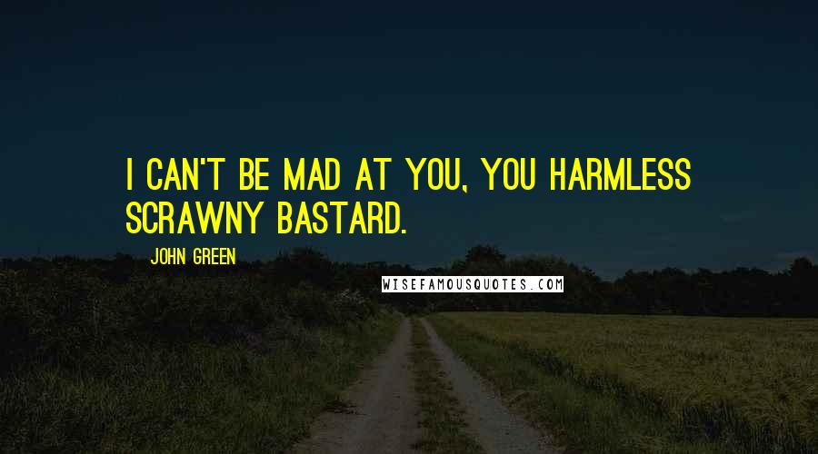 John Green Quotes: I can't be mad at you, you harmless scrawny bastard.
