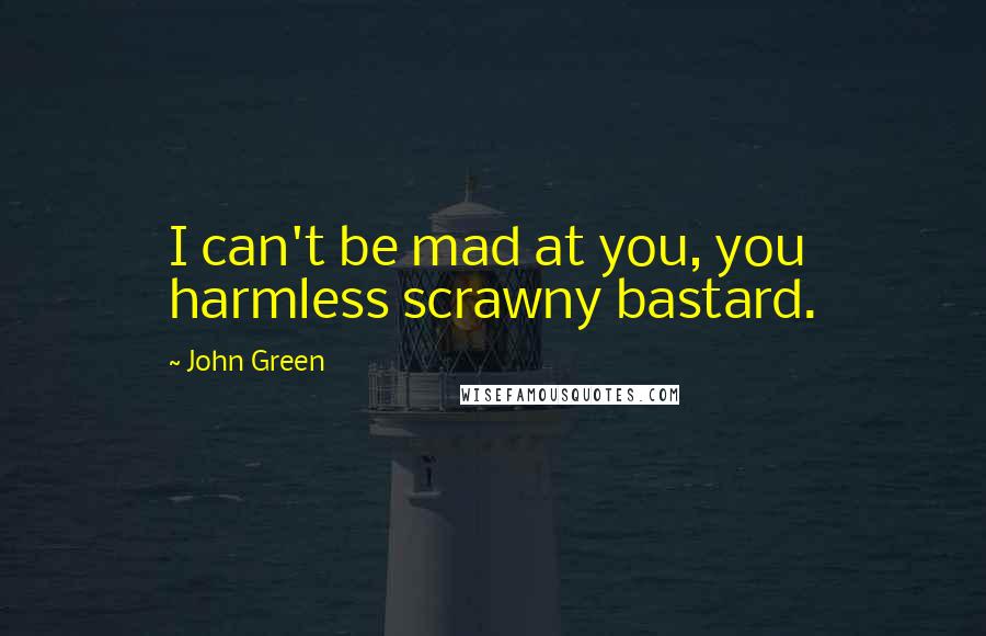John Green Quotes: I can't be mad at you, you harmless scrawny bastard.