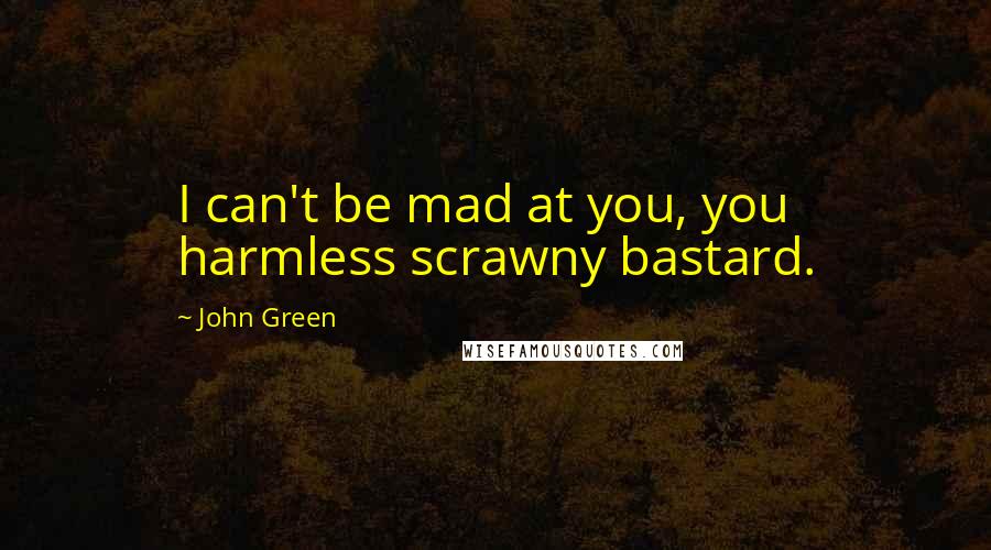John Green Quotes: I can't be mad at you, you harmless scrawny bastard.