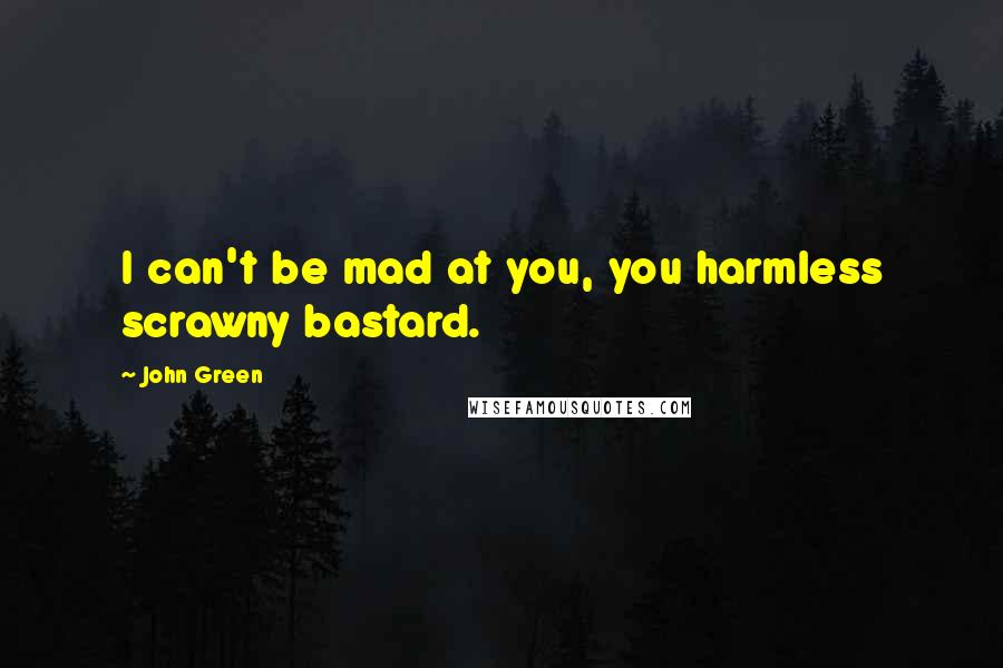 John Green Quotes: I can't be mad at you, you harmless scrawny bastard.