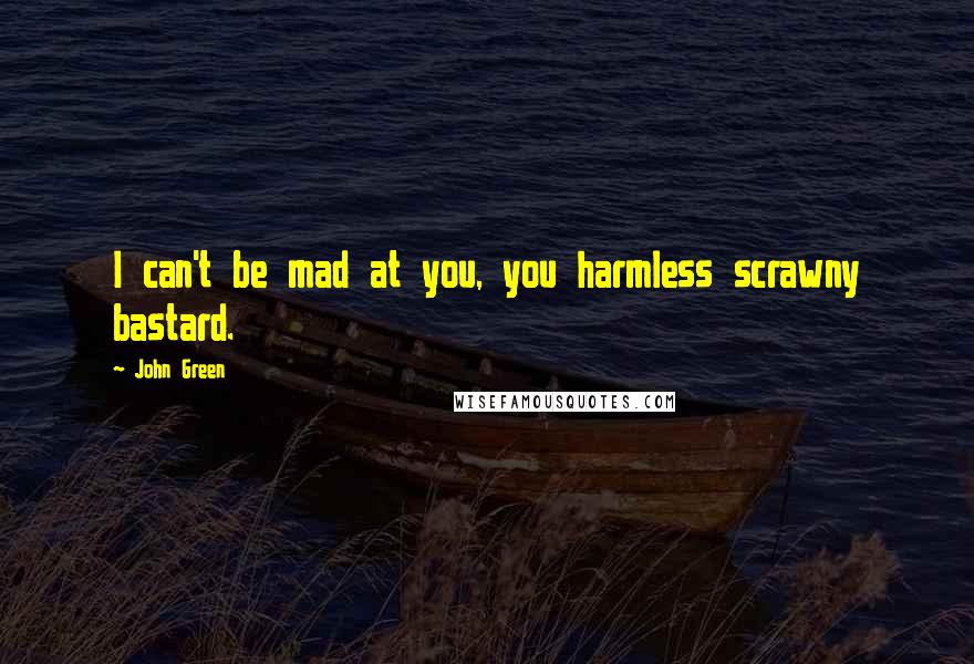 John Green Quotes: I can't be mad at you, you harmless scrawny bastard.
