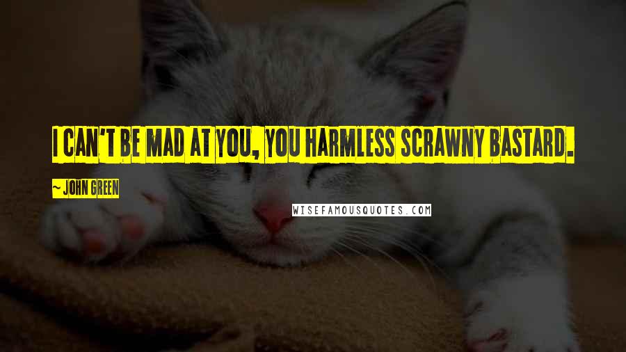 John Green Quotes: I can't be mad at you, you harmless scrawny bastard.