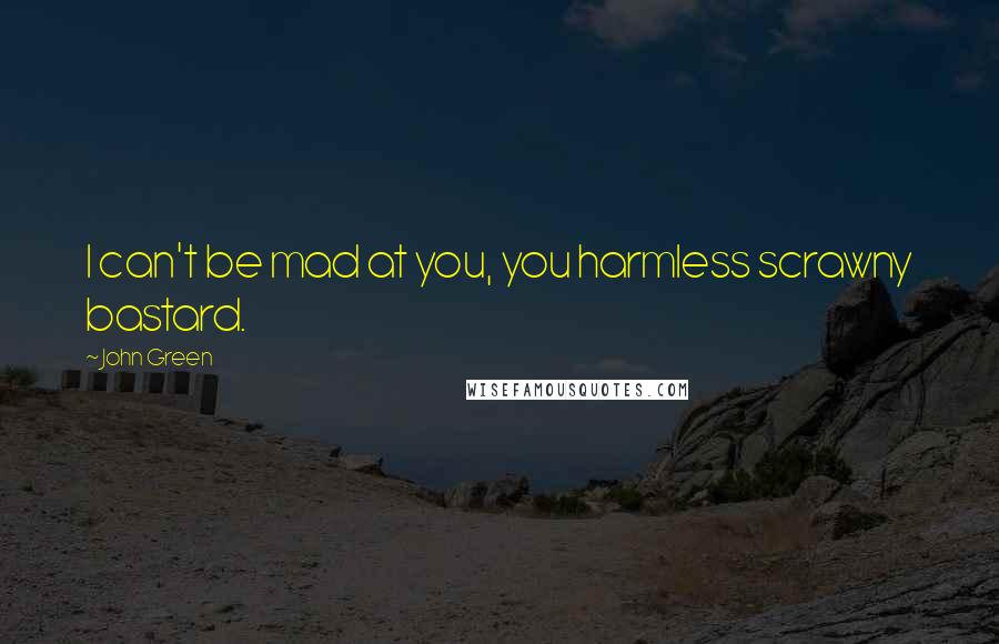 John Green Quotes: I can't be mad at you, you harmless scrawny bastard.