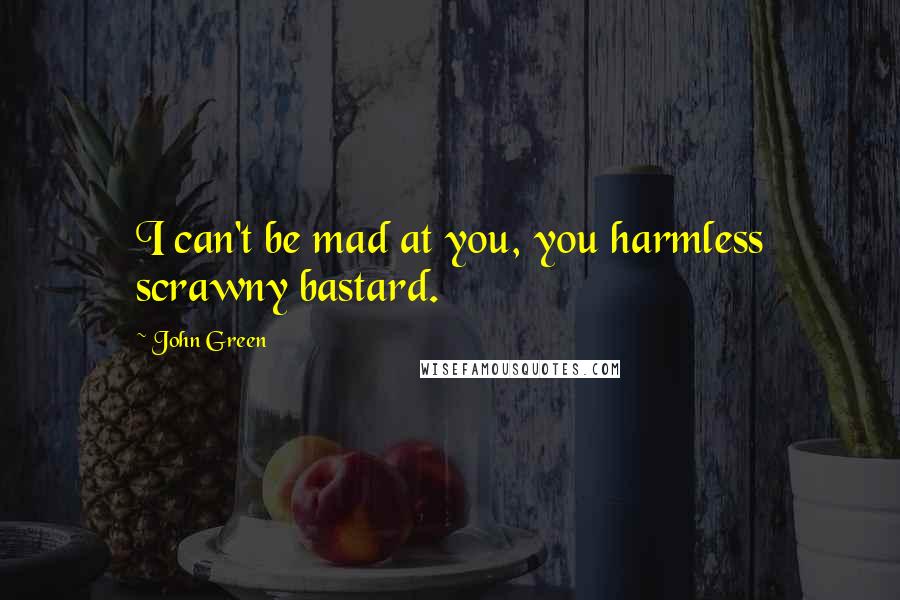 John Green Quotes: I can't be mad at you, you harmless scrawny bastard.
