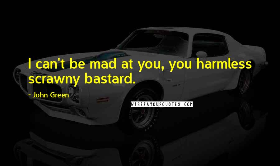 John Green Quotes: I can't be mad at you, you harmless scrawny bastard.