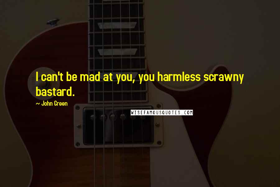 John Green Quotes: I can't be mad at you, you harmless scrawny bastard.