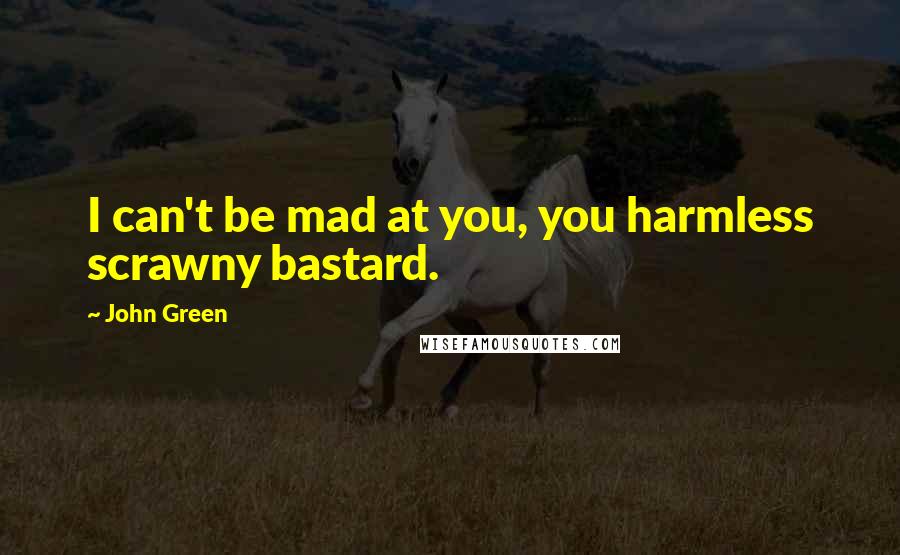 John Green Quotes: I can't be mad at you, you harmless scrawny bastard.