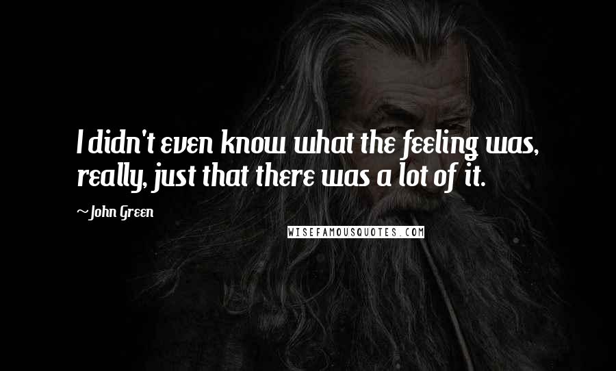 John Green Quotes: I didn't even know what the feeling was, really, just that there was a lot of it.