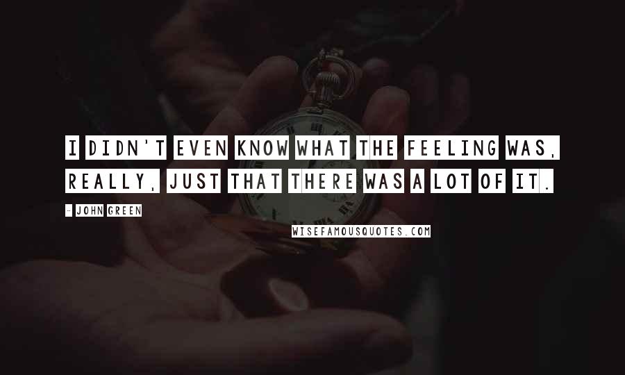 John Green Quotes: I didn't even know what the feeling was, really, just that there was a lot of it.