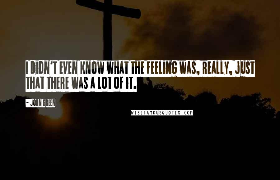 John Green Quotes: I didn't even know what the feeling was, really, just that there was a lot of it.