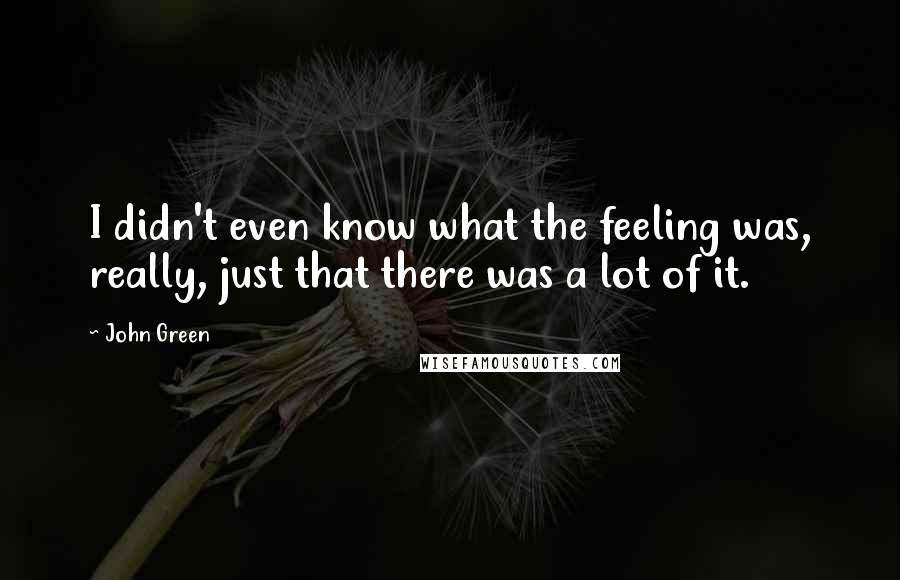 John Green Quotes: I didn't even know what the feeling was, really, just that there was a lot of it.